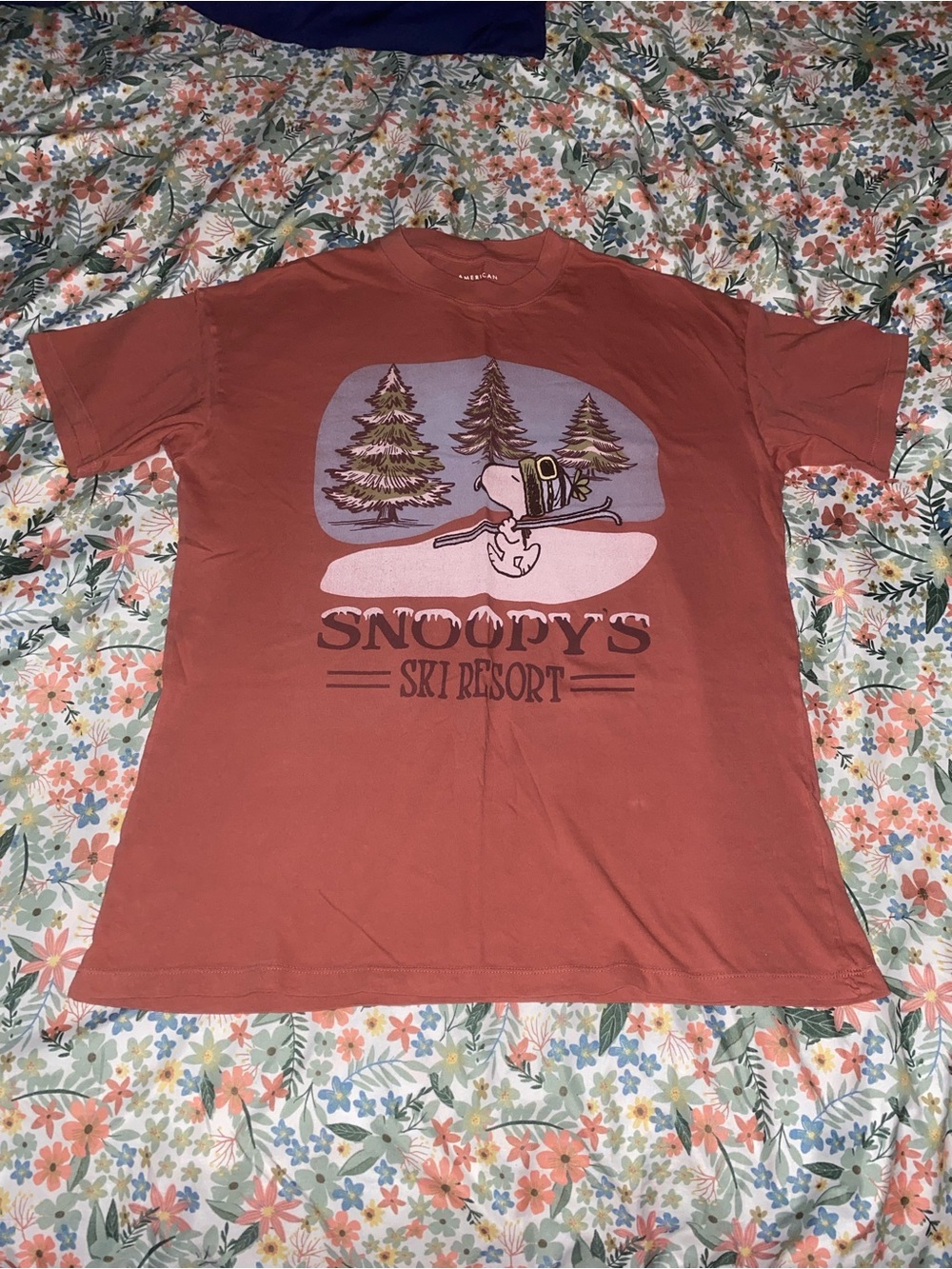 American Eagle Snoopy's Ski Resort Graphic Tee - Rust Red